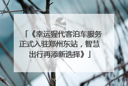 《幸运猩代客泊车服务正式入驻郑州东站，智慧出行再添新选择》
