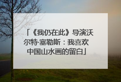 《我仍在此》导演沃尔特·塞勒斯：我喜欢中国山水画的留白