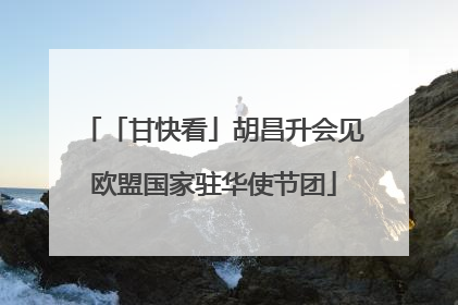 「甘快看」胡昌升会见欧盟国家驻华使节团