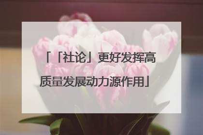 「社论」更好发挥高质量发展动力源作用