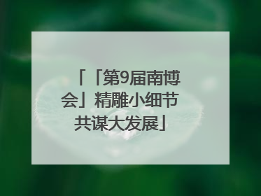 「第9届南博会」精雕小细节共谋大发展