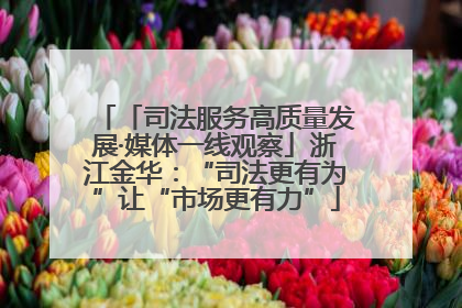 「司法服务高质量发展·媒体一线观察」浙江金华：“司法更有为”让“市场更有力”