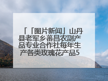 「图片新闻」山丹县老军乡蕃昌农副产品专业合作社每年生产各类玫瑰花产品500多吨