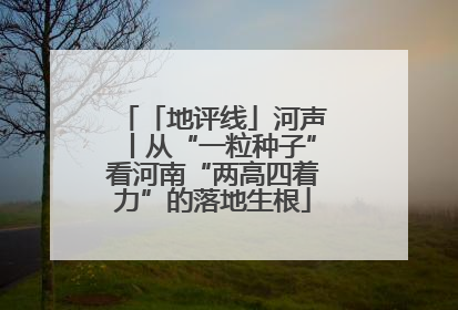 「地评线」河声丨从“一粒种子”看河南“两高四着力”的落地生根