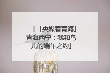 「央媒看青海」青海西宁：我和鸟儿的端午之约