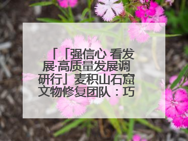 「强信心 看发展·高质量发展调研行」麦积山石窟文物修复团队：巧手匠心触摸“光阴的故事”