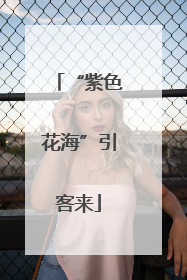 “紫色花海”引客来