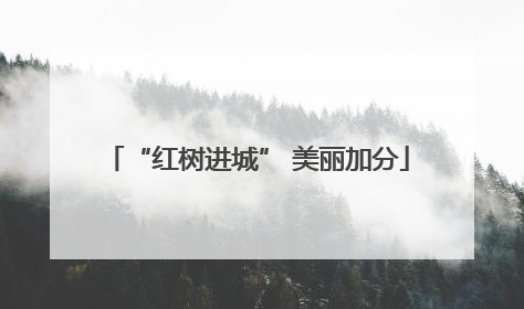 “红树进城” 美丽加分