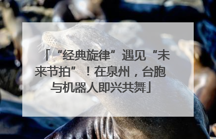 “经典旋律”遇见“未来节拍”！在泉州，台胞与机器人即兴共舞