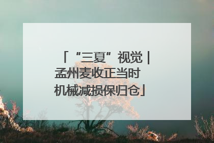 “三夏”视觉｜孟州麦收正当时 机械减损保归仓