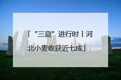 “三夏”进行时丨河北小麦收获近七成