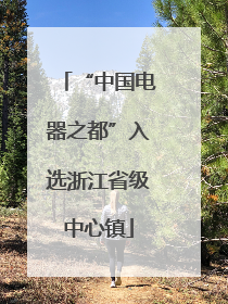 “中国电器之都”入选浙江省级中心镇
