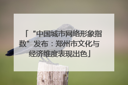 “中国城市网络形象指数”发布：郑州市文化与经济维度表现出色