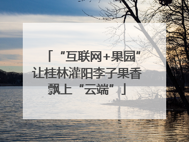 “互联网+果园”让桂林灌阳李子果香飘上“云端”