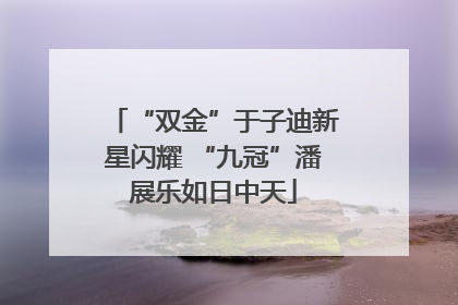 “双金”于子迪新星闪耀 “九冠”潘展乐如日中天