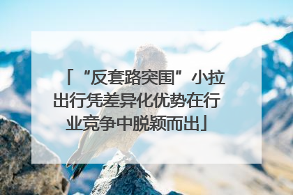 “反套路突围”小拉出行凭差异化优势在行业竞争中脱颖而出