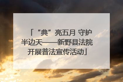 “典”亮五月 守护半边天——新野县法院开展普法宣传活动