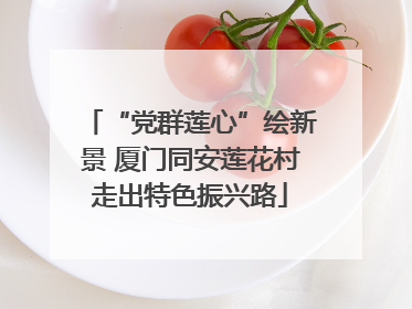 “党群莲心”绘新景 厦门同安莲花村走出特色振兴路