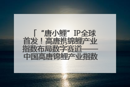 “唐小鲤”IP全球首发！高唐携锦鲤产业指数布局数字赛道——中国高唐锦鲤产业指数暨“唐小鲤”IP全球首发仪式在杭州举行