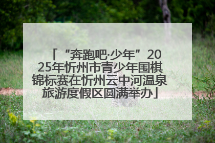 “奔跑吧·少年”2025年忻州市青少年围棋锦标赛在忻州云中河温泉旅游度假区圆满举办