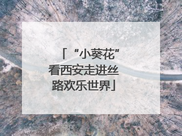 “小葵花”看西安走进丝路欢乐世界