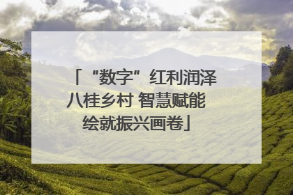 “数字”红利润泽八桂乡村 智慧赋能绘就振兴画卷