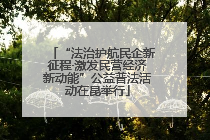 “法治护航民企新征程·激发民营经济新动能”公益普法活动在昆举行