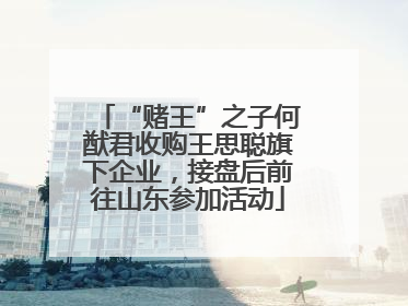 “赌王”之子何猷君收购王思聪旗下企业，接盘后前往山东参加活动