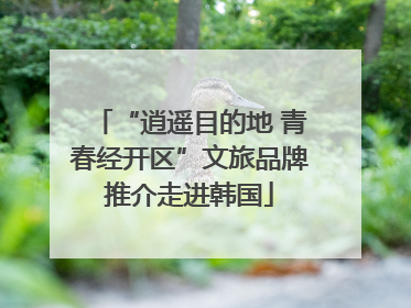 “逍遥目的地 青春经开区”文旅品牌推介走进韩国