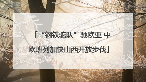 “钢铁驼队”驰欧亚 中欧班列加快山西开放步伐