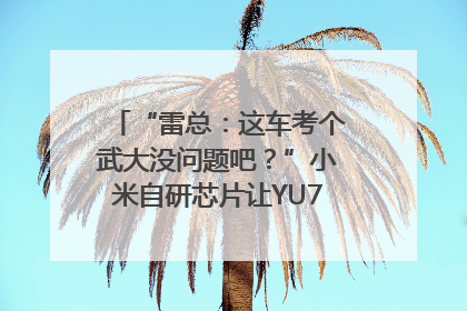 “雷总：这车考个武大没问题吧？”小米自研芯片让YU7会学习｜汽车科技