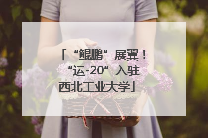“鲲鹏”展翼！“运-20”入驻西北工业大学