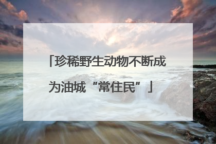 珍稀野生动物不断成为油城“常住民”