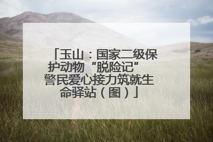 玉山：国家二级保护动物“脱险记” 警民爱心接力筑就生命驿站（图）