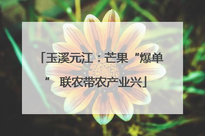 玉溪元江：芒果“爆单” 联农带农产业兴