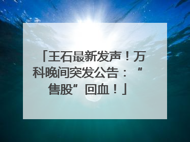 王石最新发声！万科晚间突发公告：“售股”回血！