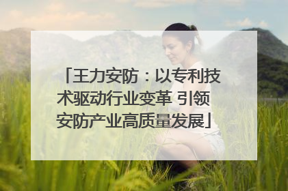 王力安防：以专利技术驱动行业变革 引领安防产业高质量发展