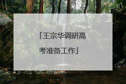王宗华调研高考准备工作