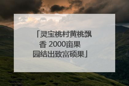 灵宝桃村黄桃飘香 2000亩果园结出致富硕果