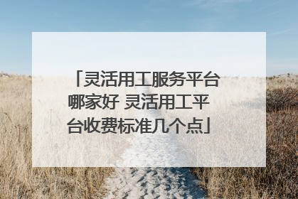 灵活用工服务平台哪家好 灵活用工平台收费标准几个点