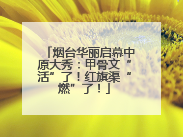 烟台华丽启幕中原大秀：甲骨文“活”了！红旗渠“燃”了！