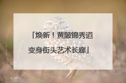 焕新！黄陂锦秀道变身街头艺术长廊