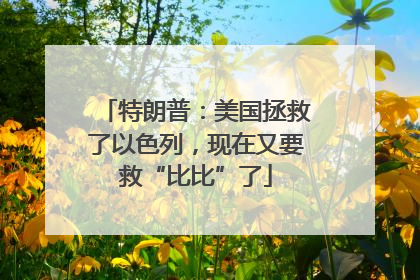 特朗普：美国拯救了以色列，现在又要救“比比”了