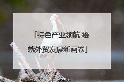 特色产业领航 绘就外贸发展新画卷