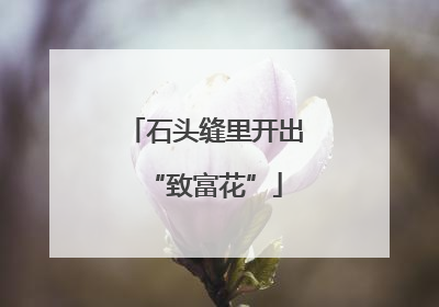 石头缝里开出“致富花”
