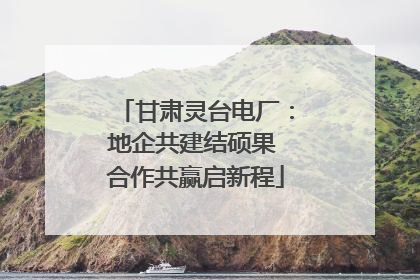 甘肃灵台电厂：地企共建结硕果 合作共赢启新程