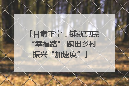 甘肃正宁：铺就惠民“幸福路” 跑出乡村振兴“加速度”