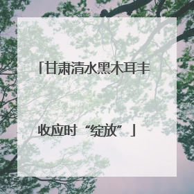 甘肃清水黑木耳丰收应时“绽放”