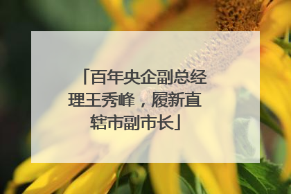 百年央企副总经理王秀峰，履新直辖市副市长