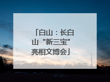 白山：长白山“新三宝”亮相文博会